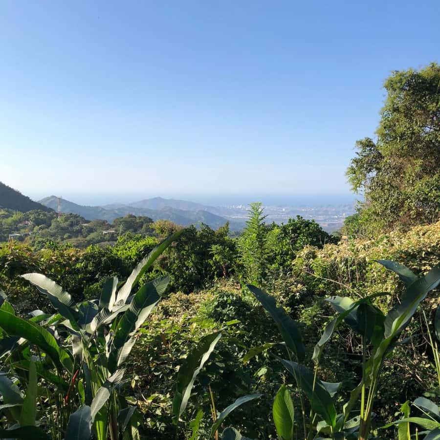 Santa Marta: Trekking in Minca Complete Waterfall Circuit - Oído del Mundo: the first major waterfall break and the photo you’ll want