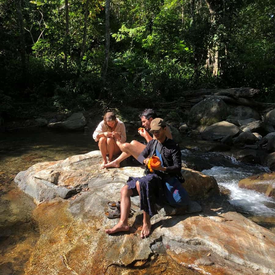 Santa Marta: Trekking in Minca Complete Waterfall Circuit - Plan B in Minca: how the day stays fun when nature changes