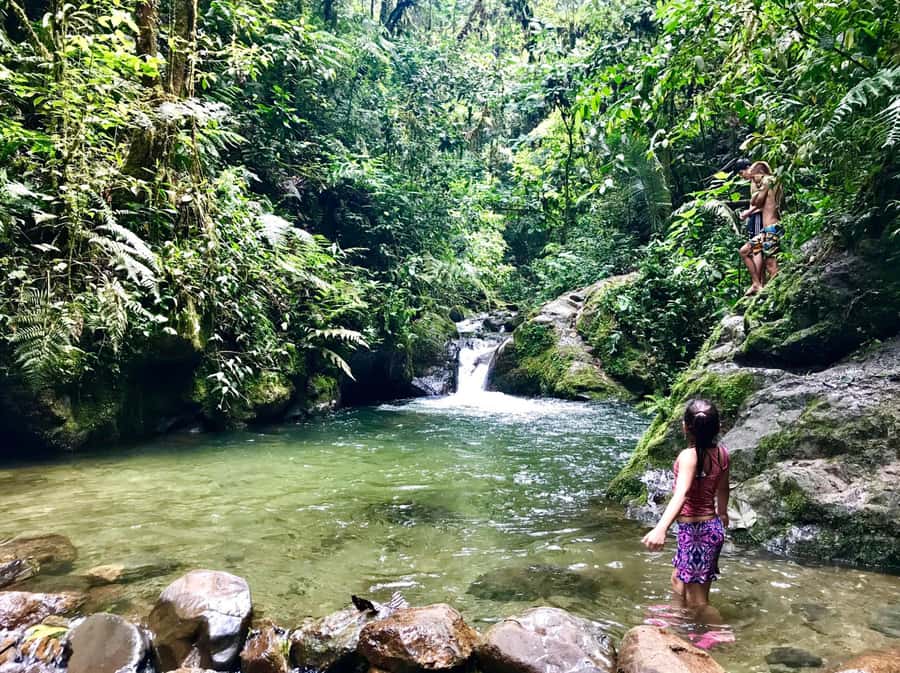 Santa Rita Waterfall and Salento Private Tour - Why Santa Rita and Salento Works So Well Together