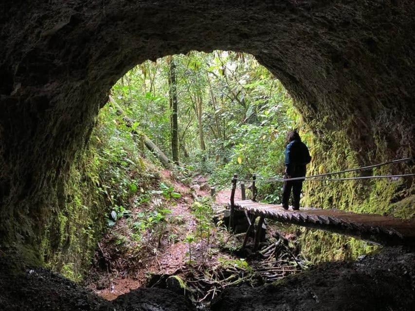 Santa Rita Waterfall and Salento Private Tour - Coffee Triangle Lesson: More Than Bean Tourism