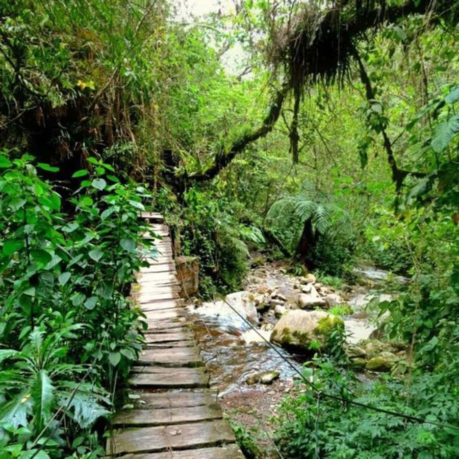 Santa Rita Waterfall and Salento Private Tour - Private Guide Value, Pickup Options, and What You’ll Pay For