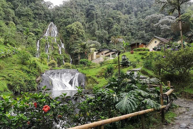 Santa Rosa de Cabal and Hot Springs Day Trip - The Ride Through Coffee Country: Views and UNESCO Context