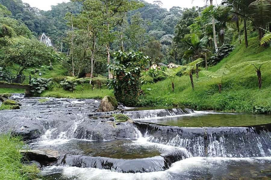 Santa Rosa de Cabal Thermal Hot Springs - Should You Book This Hot Springs Transfer?