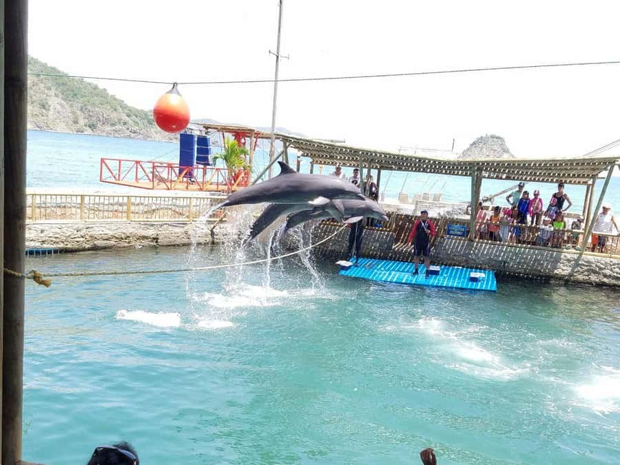 SANTAMARTA: Combo Daytour to Playa Blanca + Marine Aquarium & Lunch - Rodadero start: why the timing and speedboat matter