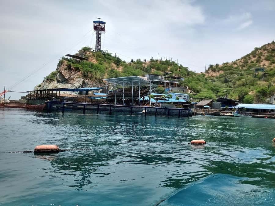 SANTAMARTA: Combo Daytour to Playa Blanca + Marine Aquarium & Lunch - Dolphin show: what is included, and what is not