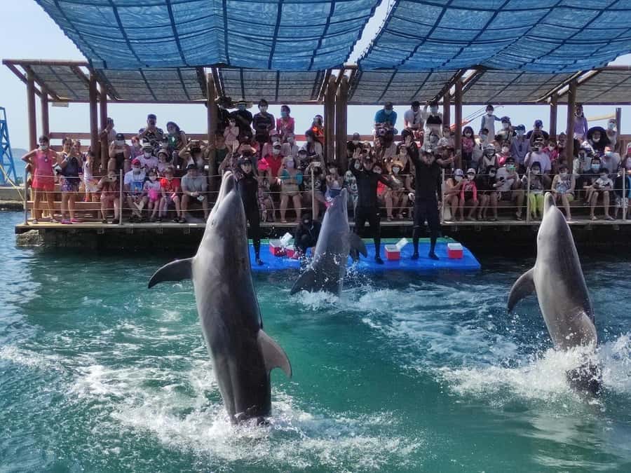 SANTAMARTA: Combo Daytour to Playa Blanca + Marine Aquarium & Lunch - Crossing to Playa Blanca: your midday shift from exhibits to beach
