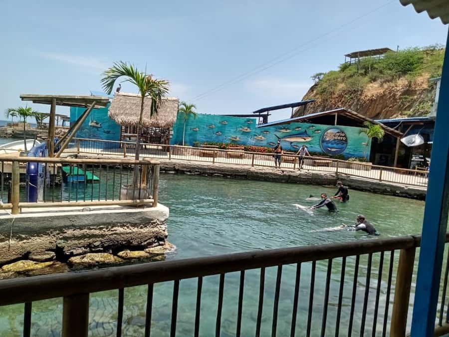 SANTAMARTA: Combo Daytour to Playa Blanca + Marine Aquarium & Lunch - Playa Blanca time: swimming, crowd levels, and footwear advice