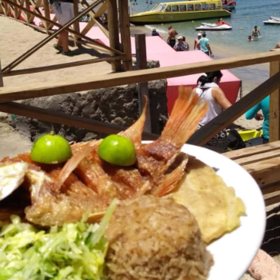 SANTAMARTA: Combo Daytour to Playa Blanca + Marine Aquarium & Lunch - Who this tour suits best