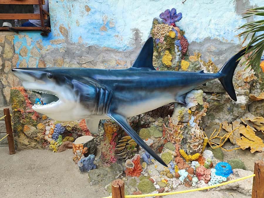 SANTAMARTA: TOUR Combo boat taxi, aquarium, lunch, and white sand beach - Playa Blanca Santa Marta, your long chunk of beach time and swimming