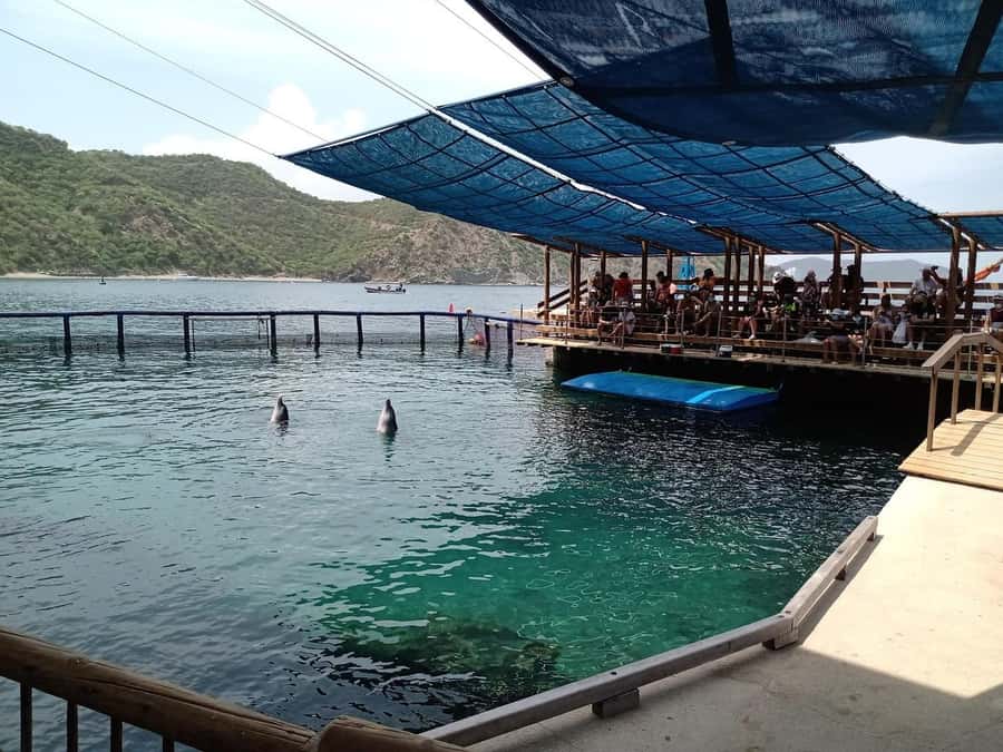 SANTAMARTA: TOUR Combo boat taxi, aquarium, lunch, and white sand beach - Boats back to El Rodadero, choose your timing until 4 p.m.