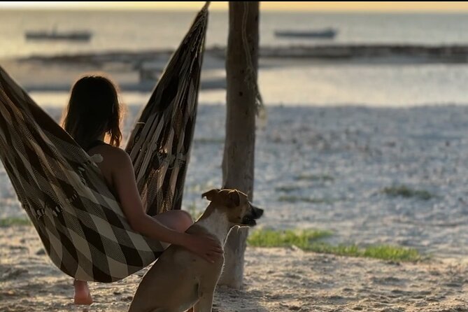 Saving Animals Tour in La Guajira (4 days / 3 nights) - Closing in Riohacha: one last day with the rescued animals at Anawa