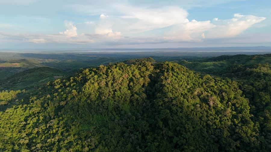 Scenic Horseback Ride in Tropical Mountain Reserve - Key highlights worth booking for