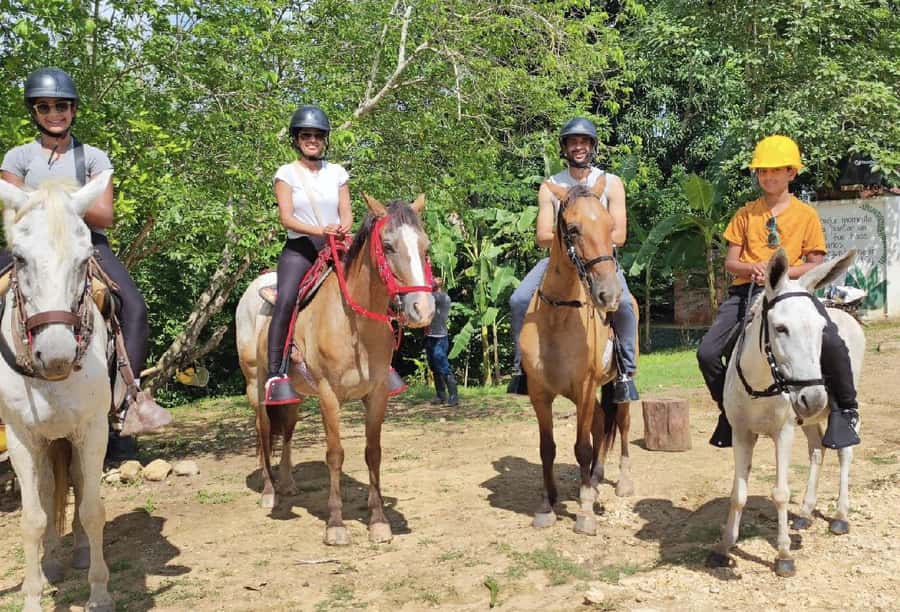 Scenic Horseback Ride in Tropical Mountain Reserve - UTV views, monkey sightings, and sharing the reserve the right way