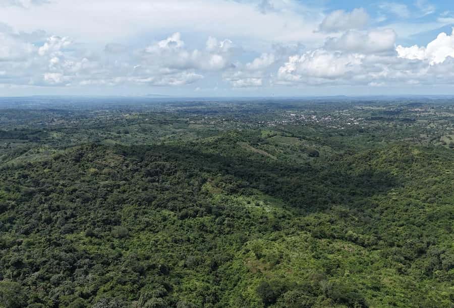 Scenic Horseback Ride in Tropical Mountain Reserve - Plant a tree, then unwind with a real snack