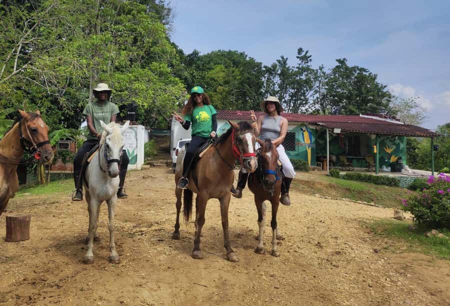 Scenic Horseback Ride in Tropical Mountain Reserve - What to bring, rules you must follow, and the fitness reality