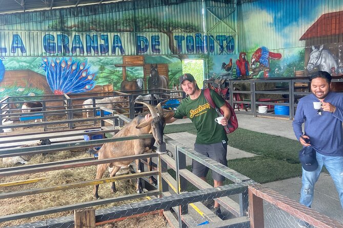 Scenic Horseback Riding in the Medellín Mountains - Key highlights at a glance