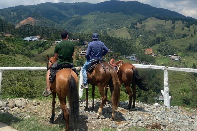 Scenic Horseback Riding in the Medellín Mountains - The snack and drink stop: carrot cake, fresh orange juice, and included beer