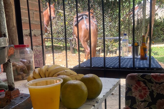 Scenic Horseback Riding in the Medellín Mountains - Who this tour fits best, and who should skip it