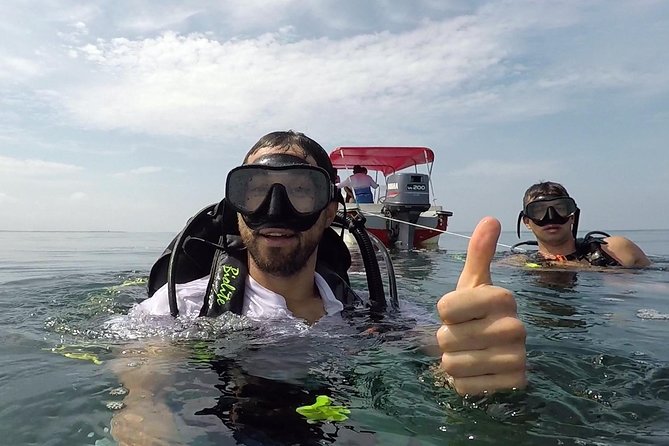 Scuba diving in Rosario Islands - Key highlights that make this Rosario Islands day worth it