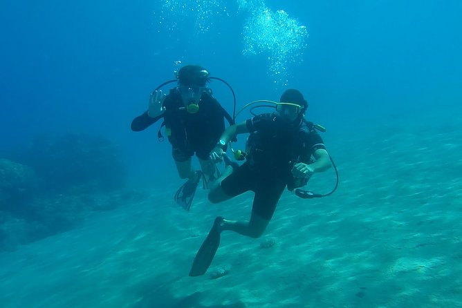 Scuba diving in Rosario Islands - Corales del Rosario y San Bernardo National Natural Park: what you should focus on