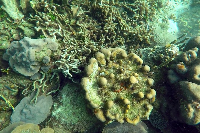 Scuba diving in Rosario Islands - Underwater safety you should actually care about (and do)
