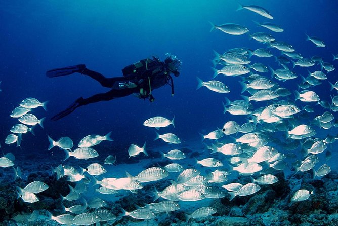 Scuba diving in Rosario Islands - Barú after your underwater time: seafood, beach calm, and reset
