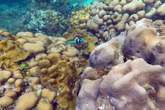 Scuba diving in Rosario Islands - Who should book this Rosario Islands SCUBA day, and who should pause