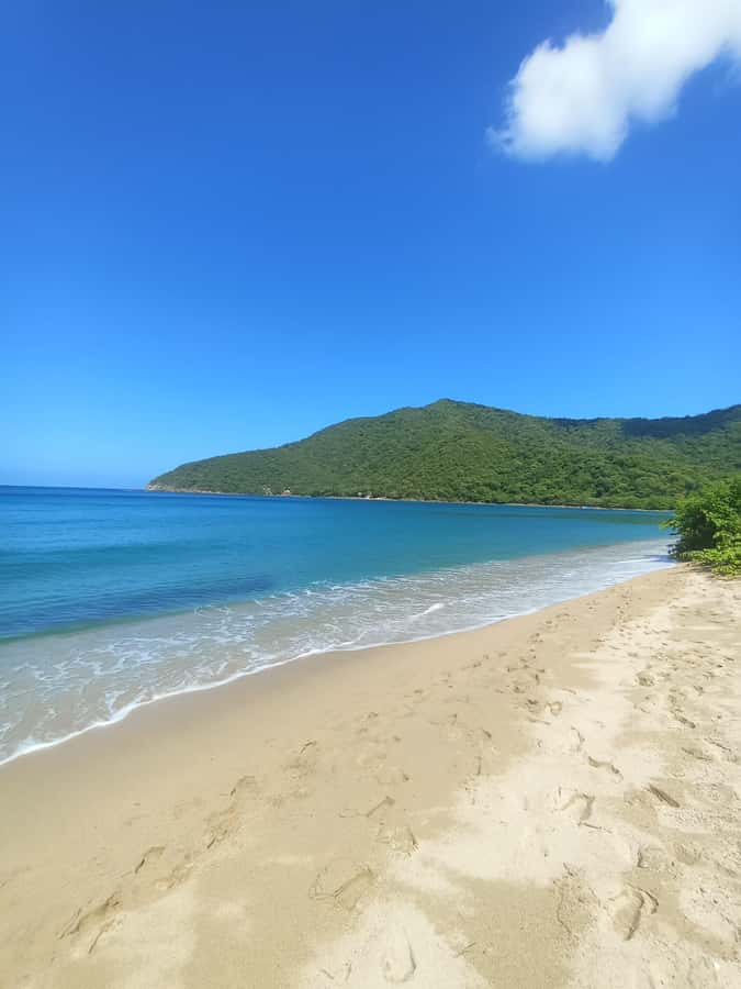 SPEEDBOAT TOUR TO TAYRONA CRISTAL BEACH - Key things to know before you go