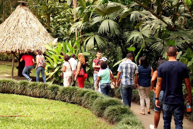 Sugar Cane Museum and Hacienda La María - Vinoteca Cava Jaramillo Solera and Santa Solera wine tasting