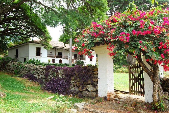 Sugar Cane Museum and Hacienda La María - Price and logistics: what $135 gets you, and what to watch for
