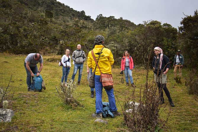 Sumapaz Páramo Private Hike Tour - Why Sumapaz Páramo Feels Like Another World Outside Bogotá