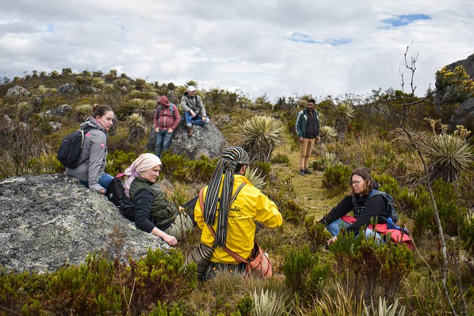 Sumapaz Páramo Private Hike Tour - The Hike Itself: How the Route Changes as the Paramo Changes