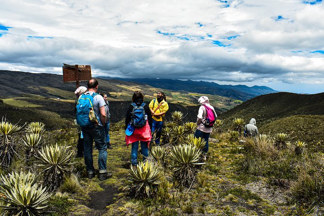 Sumapaz Páramo Private Hike Tour - Getting There Smoothly: Private Group, Pickup, and Real Scheduling