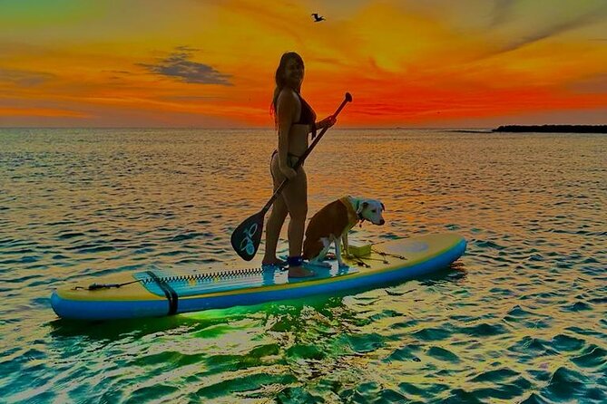 SUNSET GLOW Tour PaddleBoard - Who this is best for (and who should think twice)