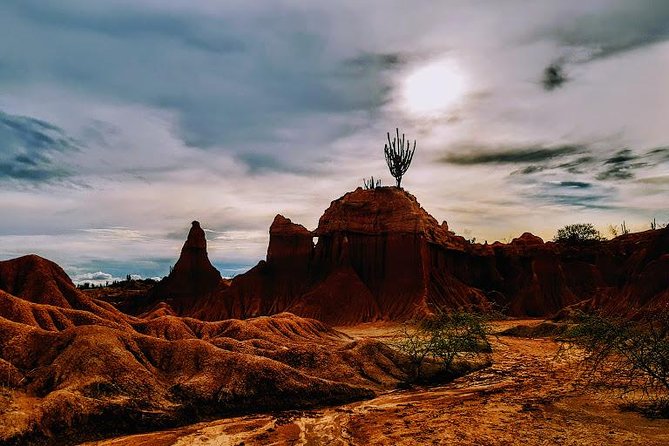 Tatacoa Desert Day Trip live, discover and connect - Key highlights you should care about
