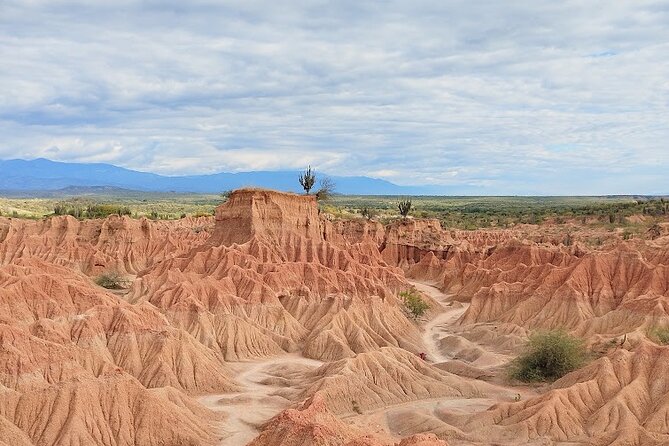 Tatacoa Desert Day Trip live, discover and connect - The Red Sector, Gray Sector, and Viewpoints You Will Actually Remember