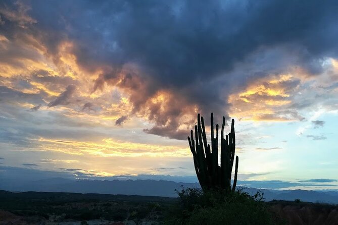 Tatacoa Desert Day Trip live, discover and connect - Getting There from Neiva: The 8:30 am Start and Why It Matters