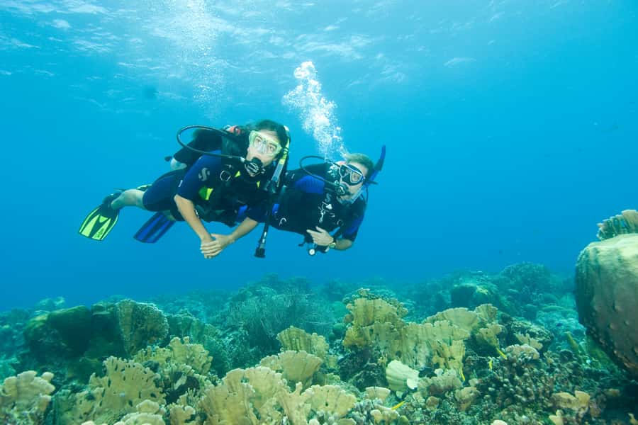 Tayrona National Park: Scuba Diving Tour for Beginners - What you might see in and around Tayrona National Park waters