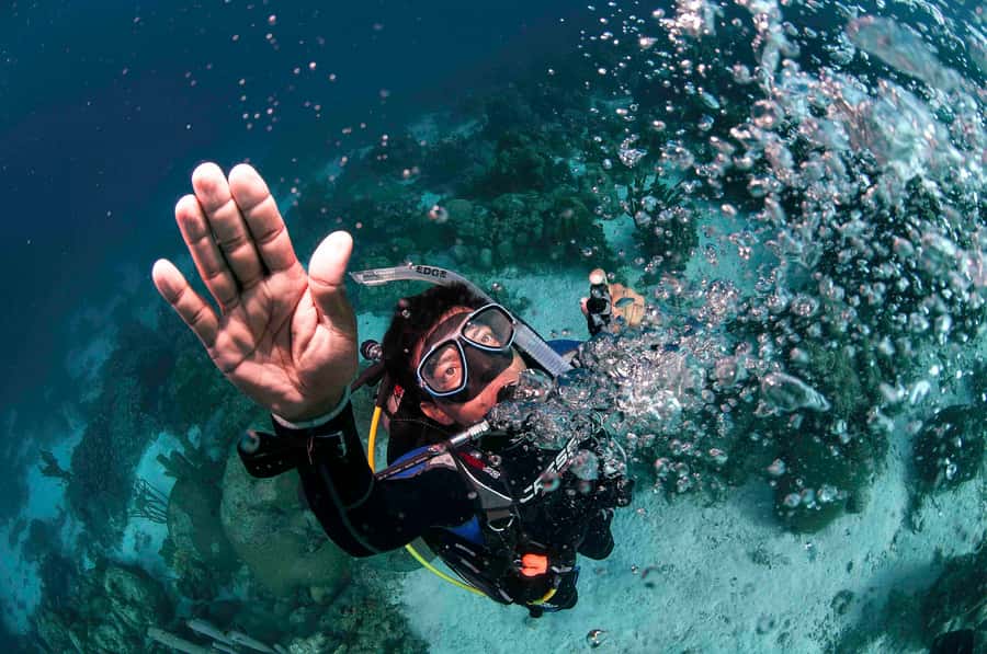 Tayrona National Park: Scuba Diving Tour for Beginners - Price and value: what $138 realistically buys you