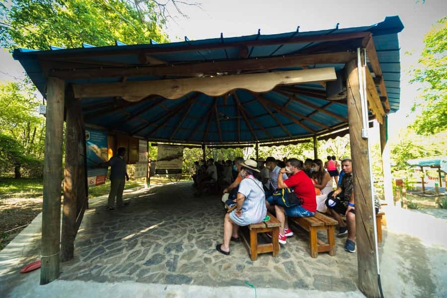 Tayrona Park adventure in Santa Marta: Cabo San Juan from Cartagena - Tayrona to Cabo San Juan, why this day trip works