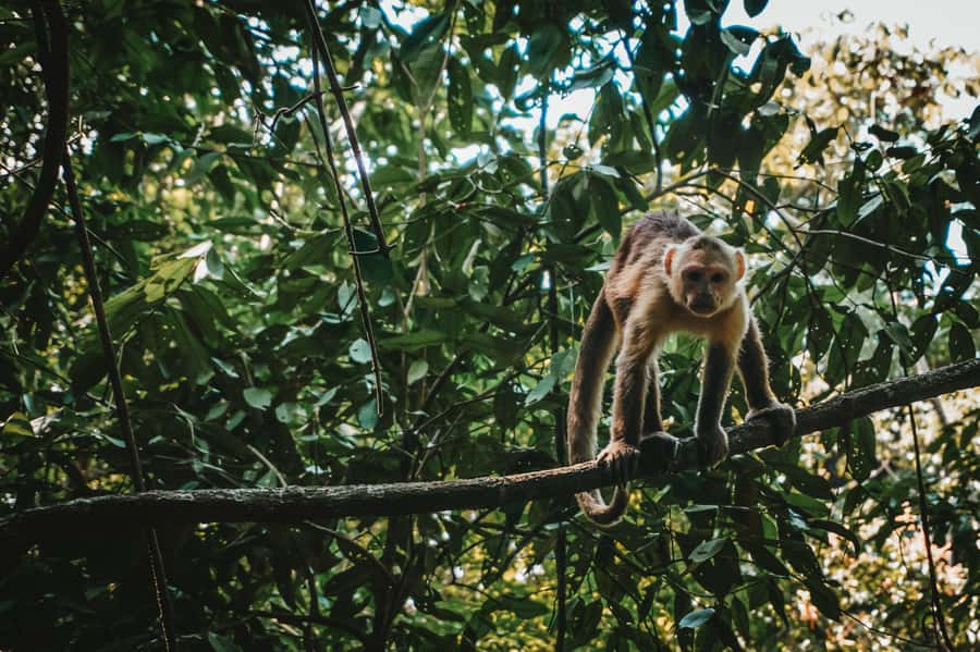 Tayrona Park & Cabo San Juan - El Zaino to Cañaveral: Entrance Checks and the Important Fees Part