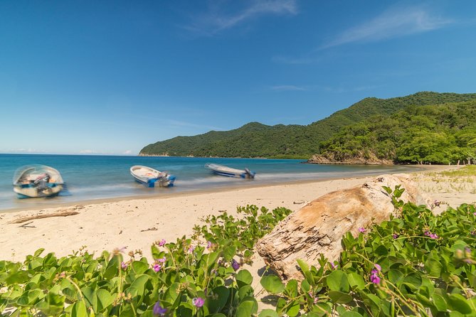Tayrona Park Hike Tour to Cabo San Juan: Private or Shared - Stop 3: Tayrona National Park walking to the crystal-clear beach stretch
