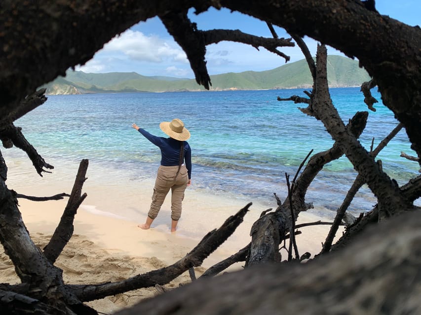 Tayrona Park & Playa Cristal - Guides, information level, and what to do if you want more than logistics
