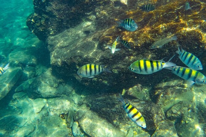 Tayrona, Snorkel & Beach - Key things to know before you go