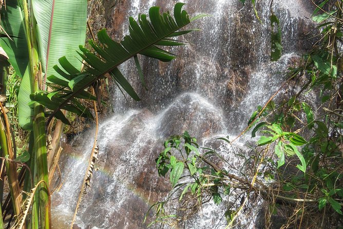The Anti Coffee tour: a visit to La Cascada Arcoiris Farm - Traditional lunch, fresh juice, and the coffee culture context