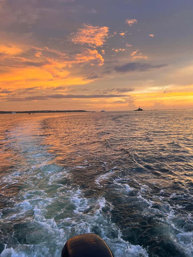 The best sunset tour in the bay: Open bar party & fun - Open bar on board: rum, aguardiente, and how to pace the night