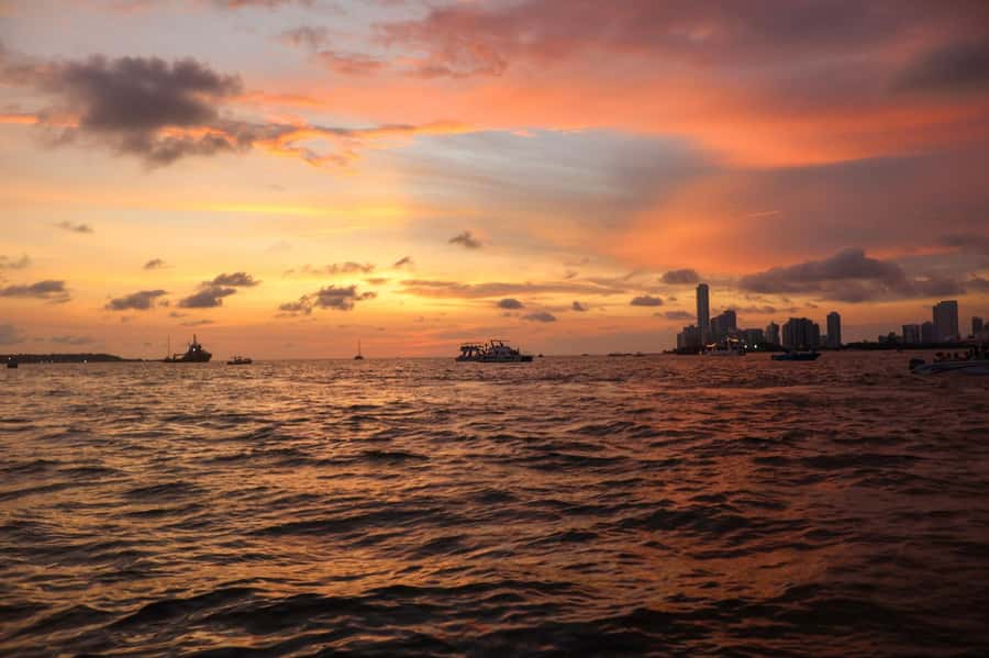 The best sunset tour in the bay: Open bar party & fun - The first step: meeting up and getting into party mode