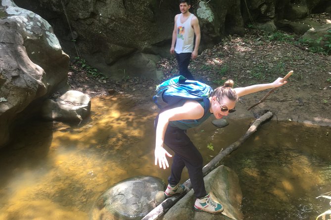 The Jaguar´s Footprint: Hike and Music Day Trip from Cartagena - San Jacinto hike: petroglyphs, birds, monkeys, and the plants you’d normally miss