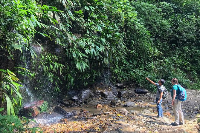 The Native Expedition - Sierra Nevada (2 days Discovering Chorrerón waterfall) - Day 1 From Minca Into Coffee Country, Forest Walks and Farm Life