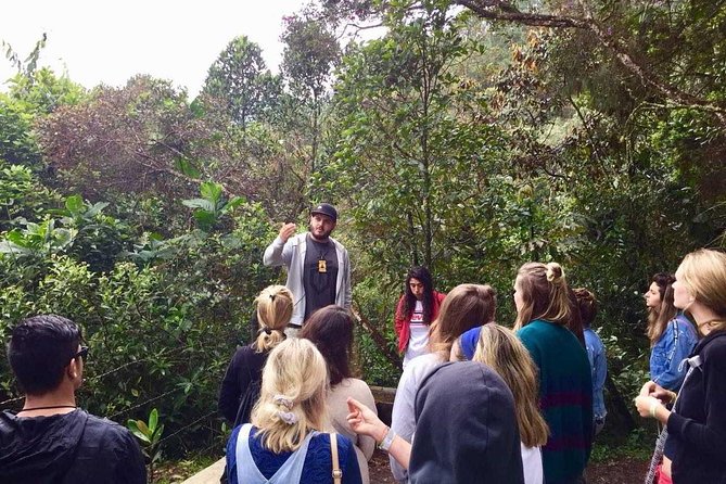 The "not polite to use his name" City Tour - Cementerio Jardines Montesacro, Escobar, family, and the wider gang